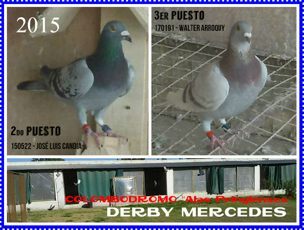 palodrb1523